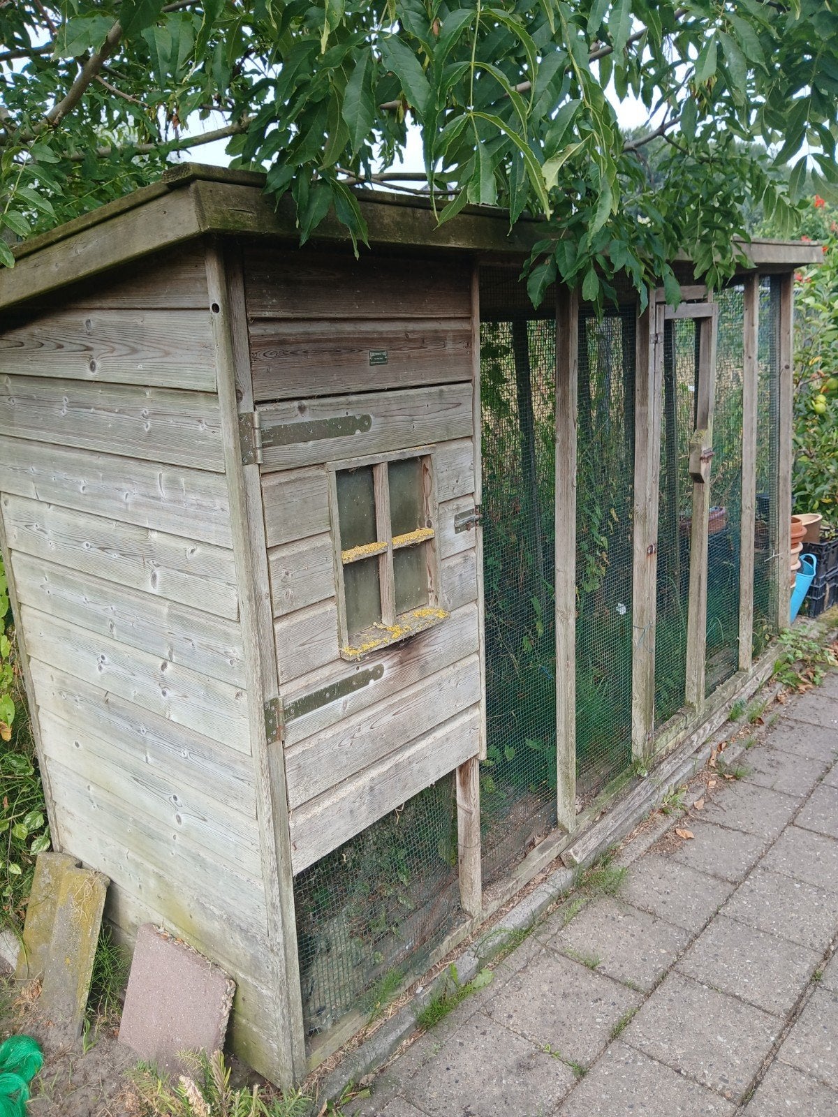 Groot Konijnen/ kippenhok van Methorst, Ophalen, 90 cm of meer, Hok, 110 cm of meer