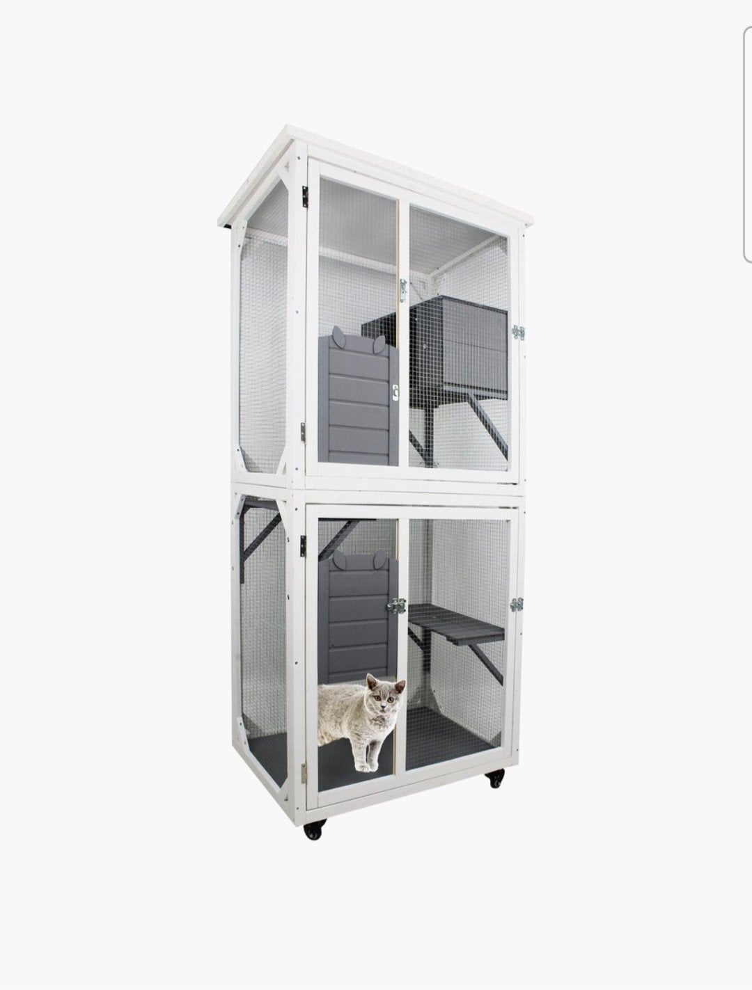 katten verblijf, Ophalen, Hok, Minder dan 60 cm