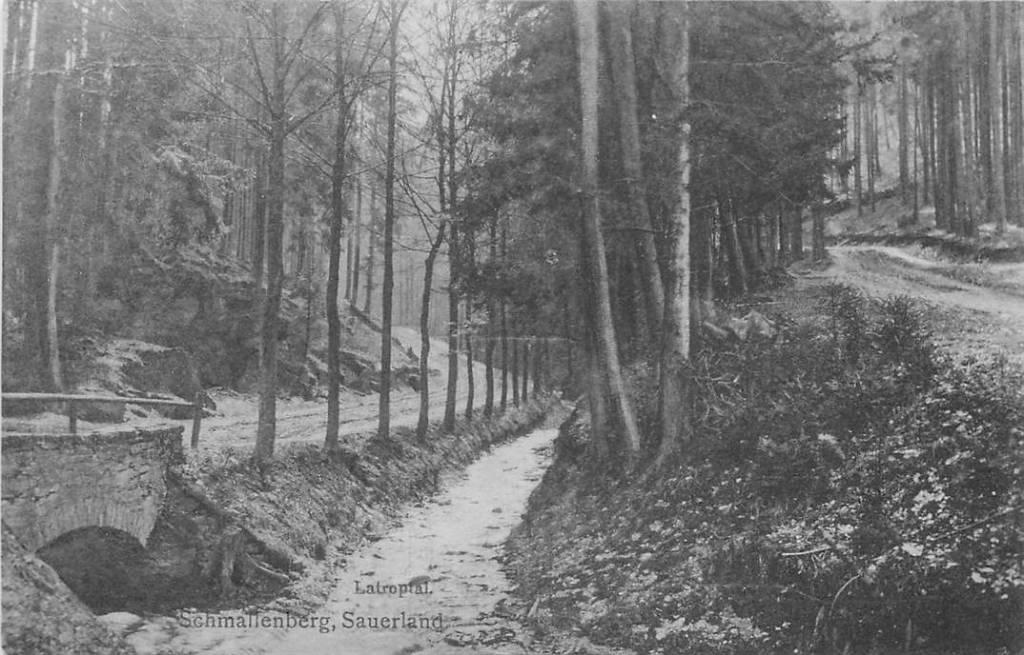 381-361-015 Schmallenberg Sauerland, Verzamelen, Ansichtkaarten | Buitenland, Duitsland, Voor 1920, Verzenden