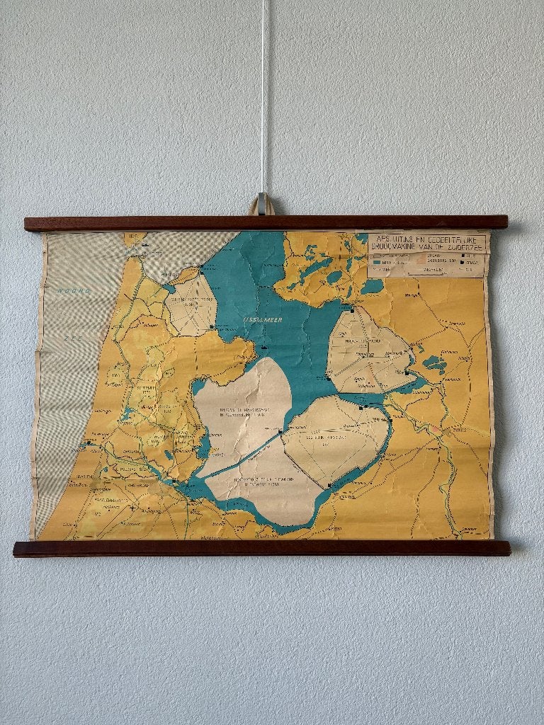 VINTAGE SCHOOLPLATEN / KAARTEN KIES UIT EN BIEDT, Antiek en Kunst, Ophalen of Verzenden, Natuur en Biologie