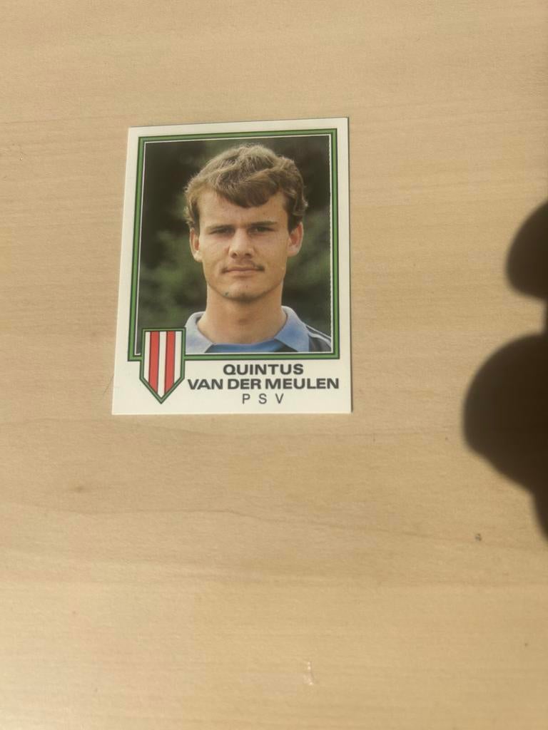 Panini Voetbal 81 Plaatje Quintus van der Meulen PSV, Ophalen of Verzenden, Zo goed als nieuw, Sticker