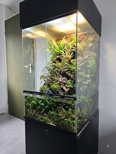Uniek Hoog Paludarium / Terrarium met Onderkast & Kap, Ophalen, Terrarium of Paludarium