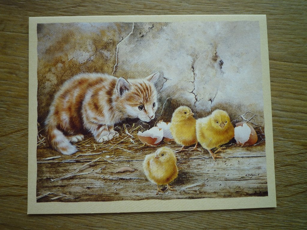 Kat poes met kuikens uit het ei kip, Ophalen of Verzenden, Voor 1920, Hond of Kat