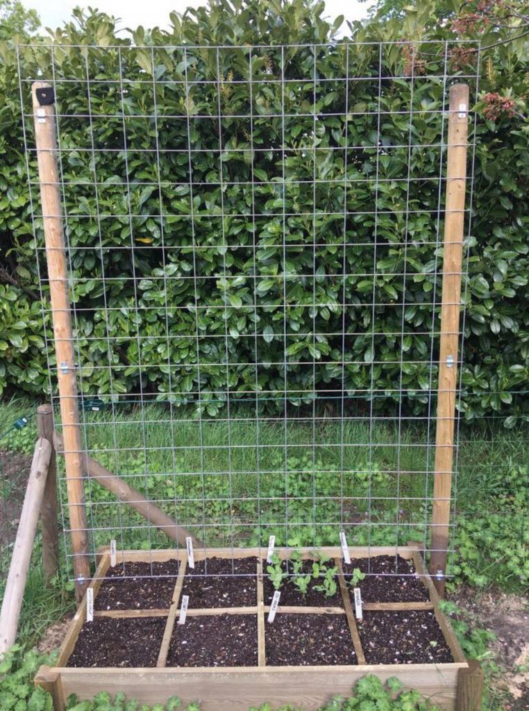 Moestuin klimrek rek, Tuin en Terras, Gaas en Draad, Ophalen, Nieuw, Minder dan 10 meter