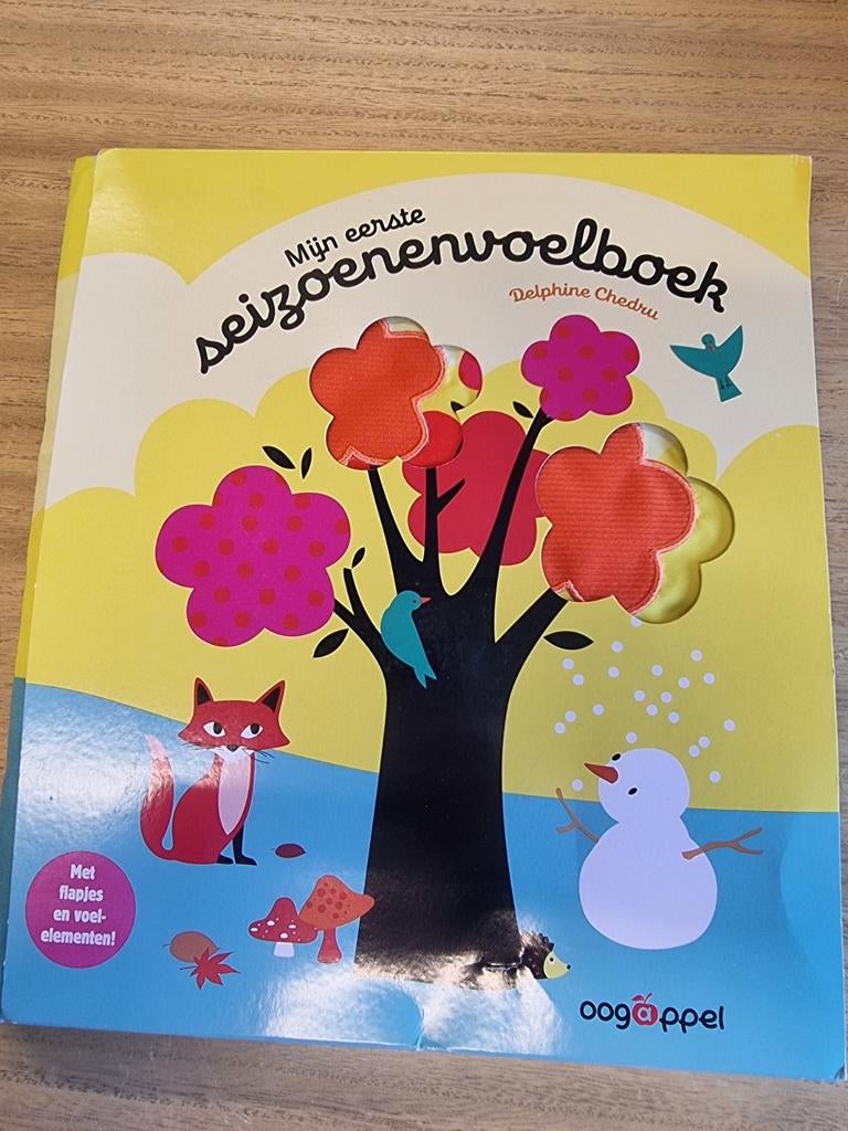Diverse kinderboeken verkoop, Verzenden, Delphine Chedru, Zo goed als nieuw