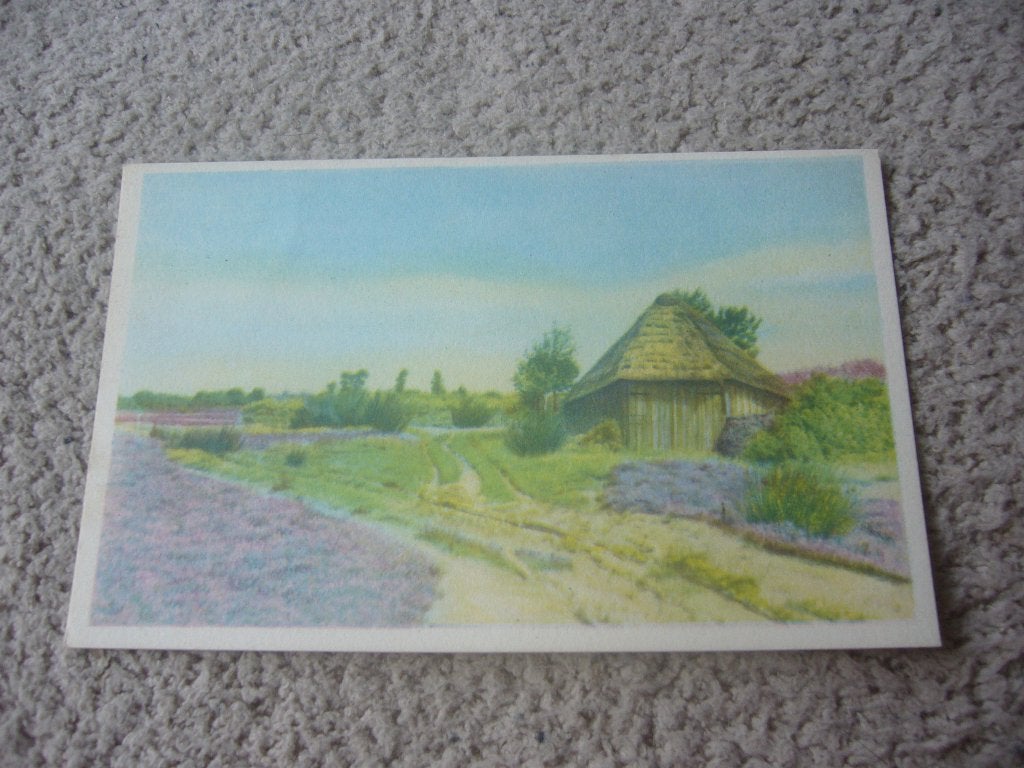 NUNSPEET  =  HUTJE - HEIDE - BOMEN - NATUUR, Ophalen of Verzenden, 1940 tot 1960, Ongelopen, Gelderland