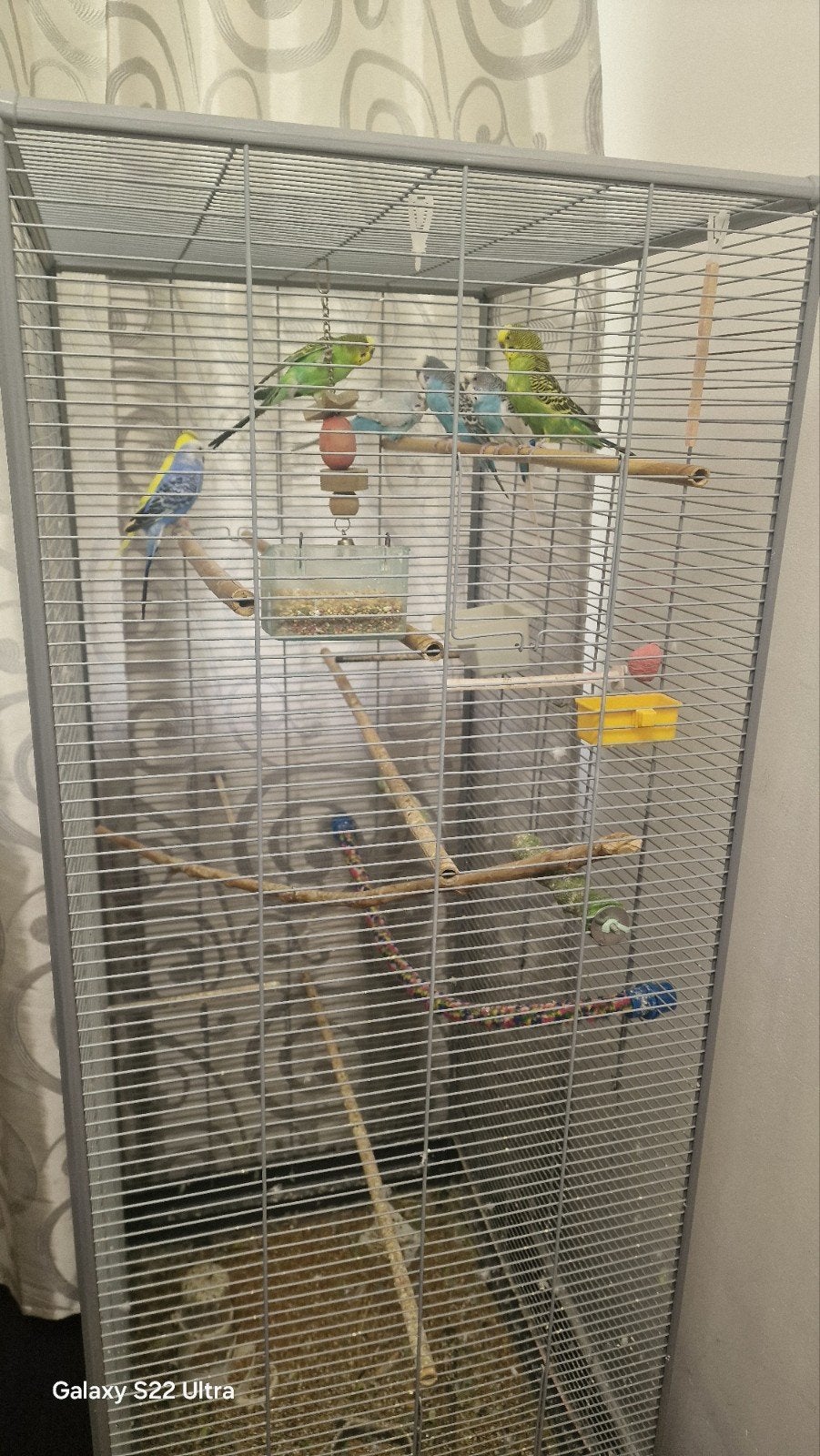 7 vogels, Dieren en Toebehoren