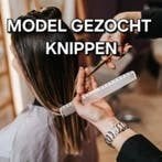 Model gezocht examen knippen, Ophalen of Verzenden, Zo goed als nieuw, Overige typen