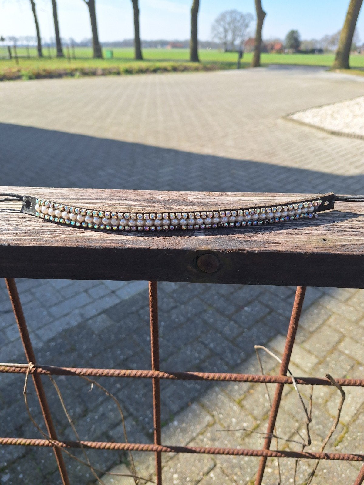 Zadelsieraad en frontriem, Dieren en Toebehoren, Ophalen of Verzenden, Gebruikt, Dressuur