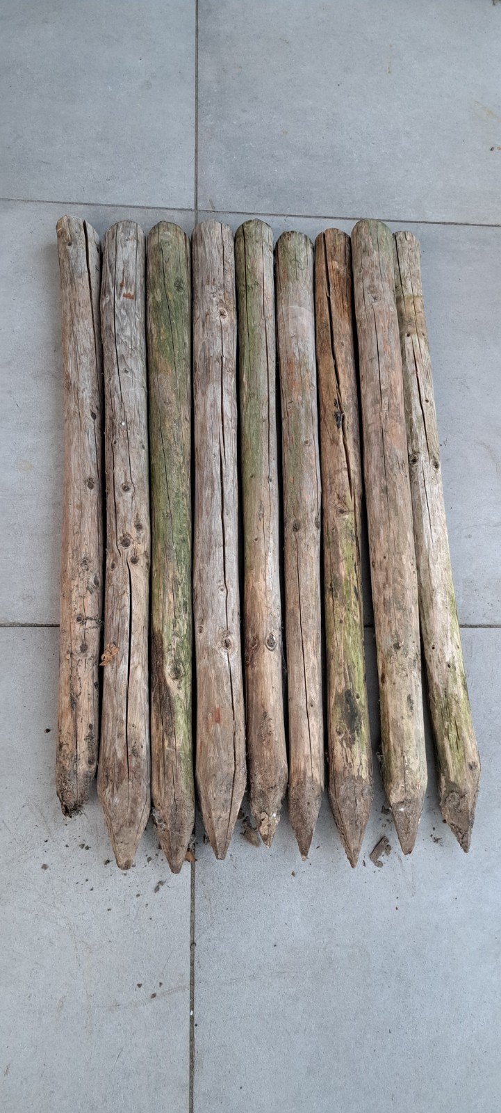 Houten palen, gepunt, voor diverse toepassingen, Ophalen, Gebruikt, Minder dan 180 cm, Palen
