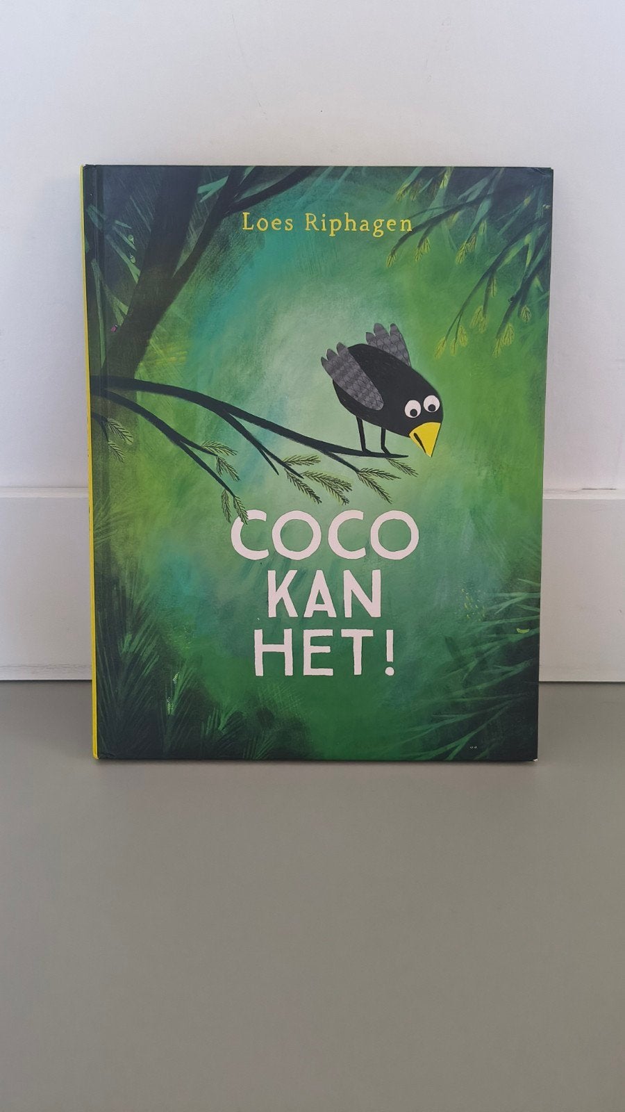 Coco Kan Het! - Loes Riphagen, Ophalen of Verzenden, Gelezen, Loes Riphagen, 2 tot 3 jaar