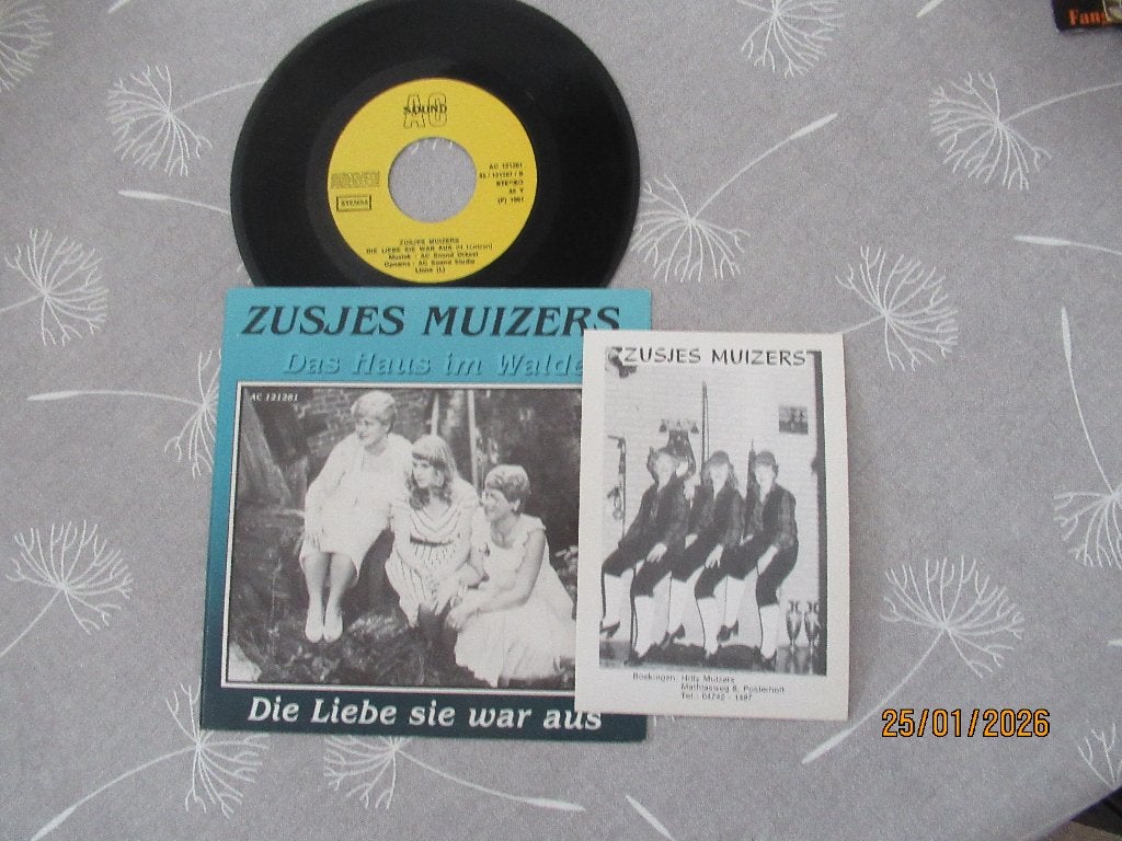 Zusjes Muizers       Das haus im Walde, Cd's en Dvd's, Vinyl Singles, Originele persing, 7 inch, Ophalen of Verzenden, Zo goed als nieuw