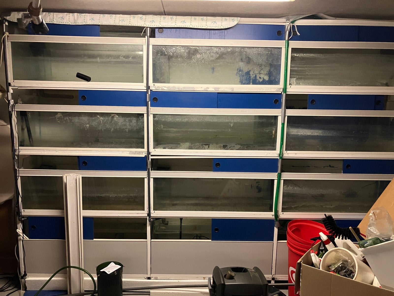12 bakken Aquariums + biologen 3 kamers L100 x B40 x H40, Ophalen, Gebruikt, Overige typen