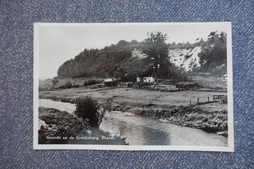 Rhenen. Gezicht op de Grebbeberg, Verzamelen, Ansichtkaarten | Nederland, Ongelopen, Gelderland, 1940 tot 1960, Ophalen of Verzenden
