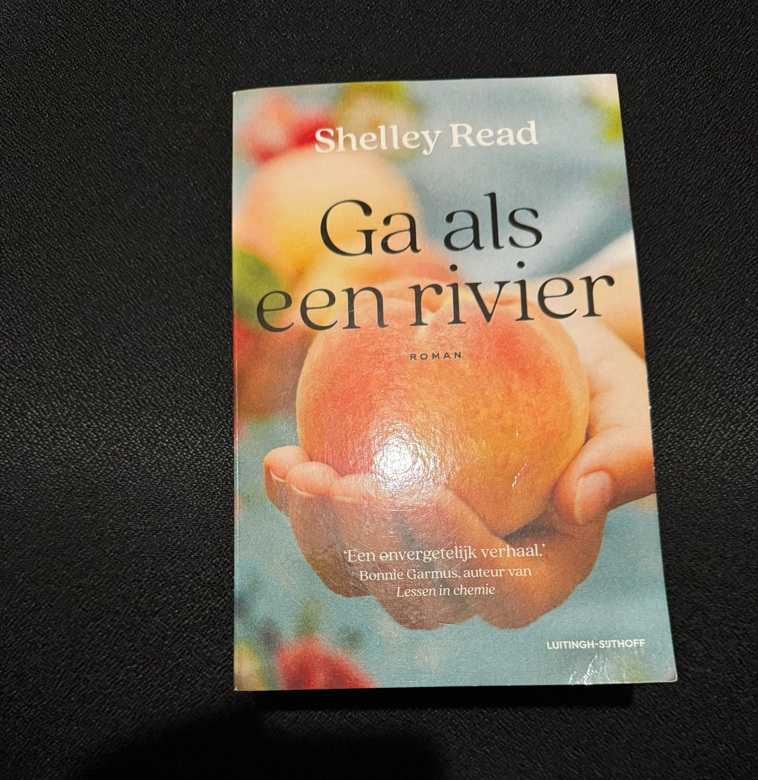 Ga als een rivier - Shelley Read (Roman), Boeken, Romans, Ophalen of Verzenden, Zo goed als nieuw, Amerika