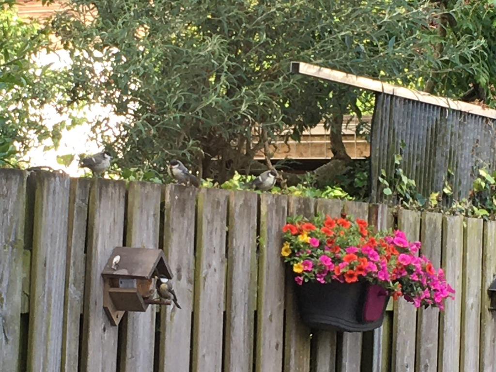 Bloembak en nestkast, Tuin en Terras, Bloempotten, Zo goed als nieuw, Ophalen of Verzenden