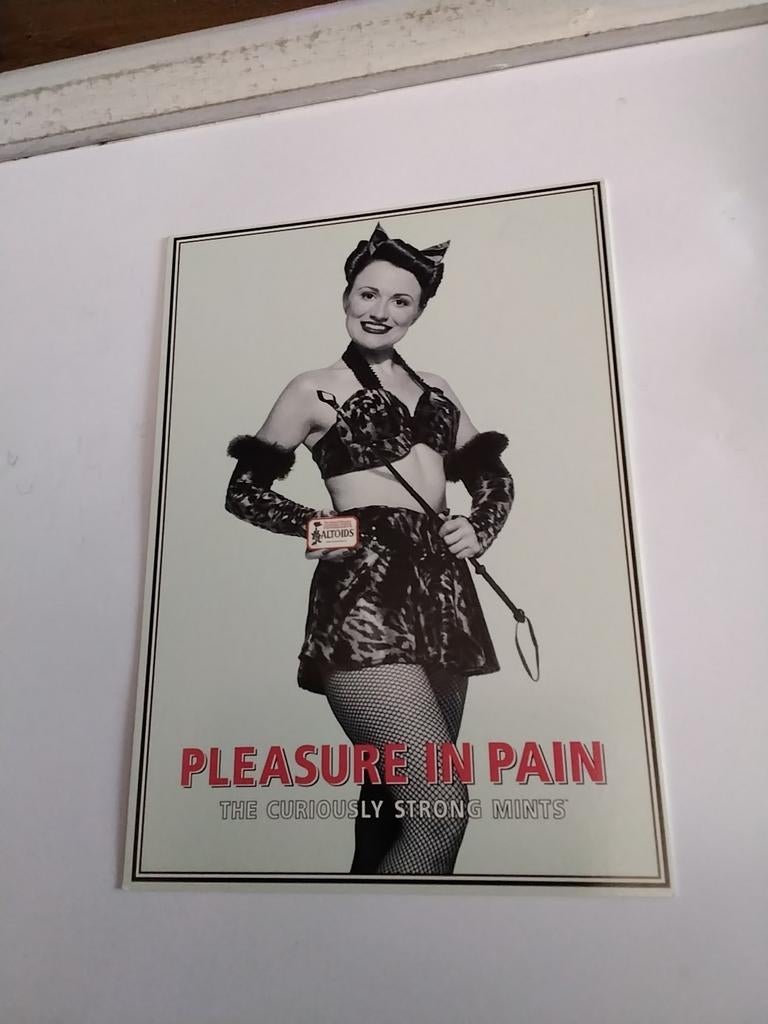 PLEASURE IN PAIN.  MEESTERES, Ophalen of Verzenden, 1980 tot heden