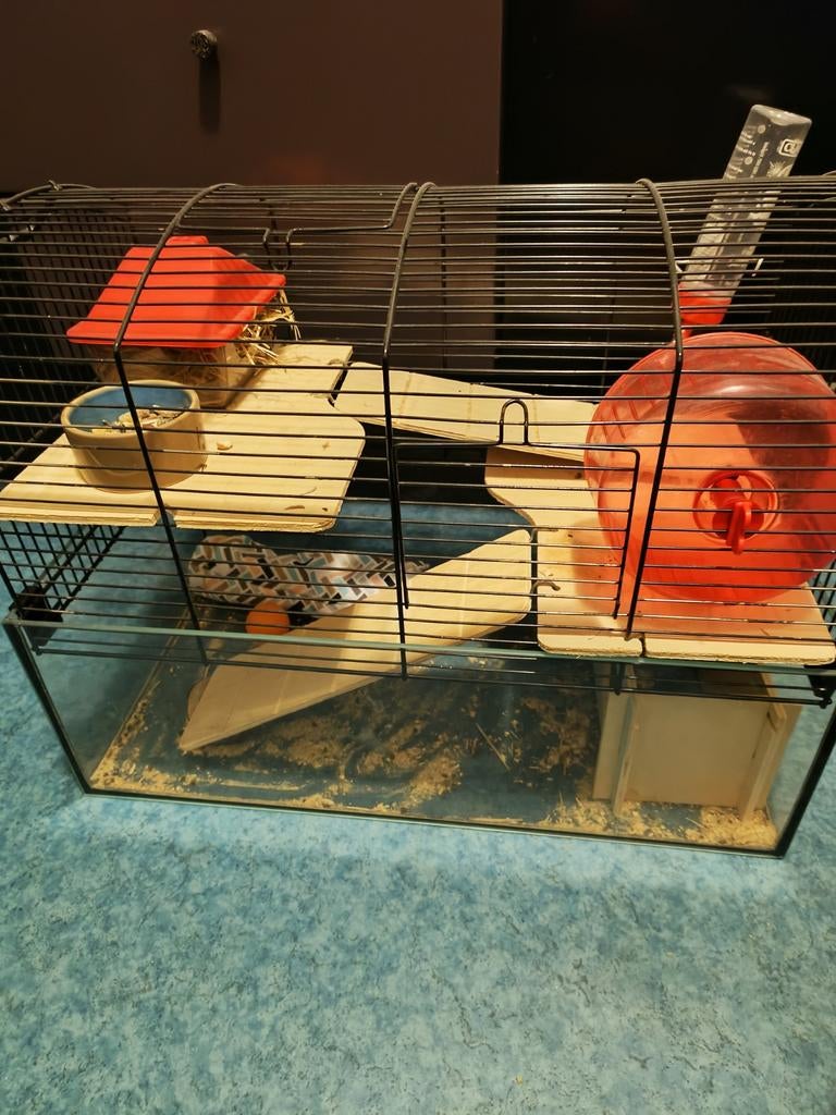 Te koop hamster kooi met toebehoren., Ophalen of Verzenden