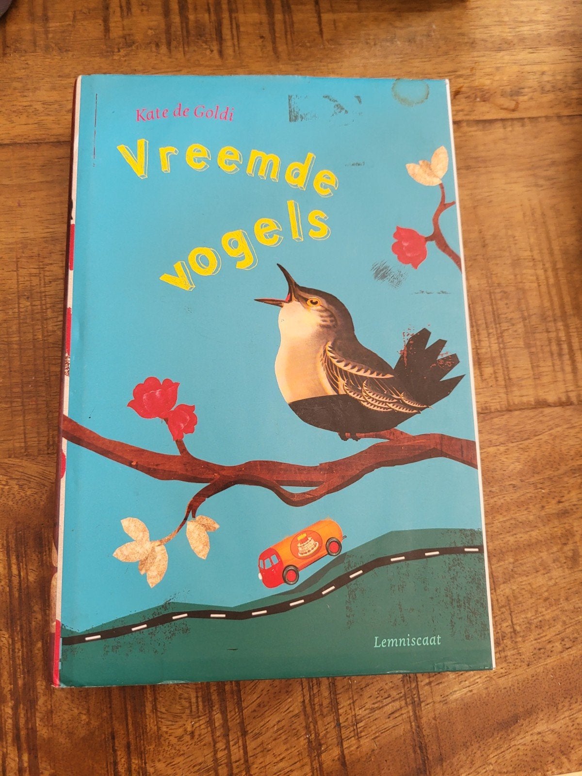 Kate de Goldi - Vreemde vogels, Boeken, Kinderboeken | Jeugd | 10 tot 12 jaar, Zo goed als nieuw, Ophalen of Verzenden