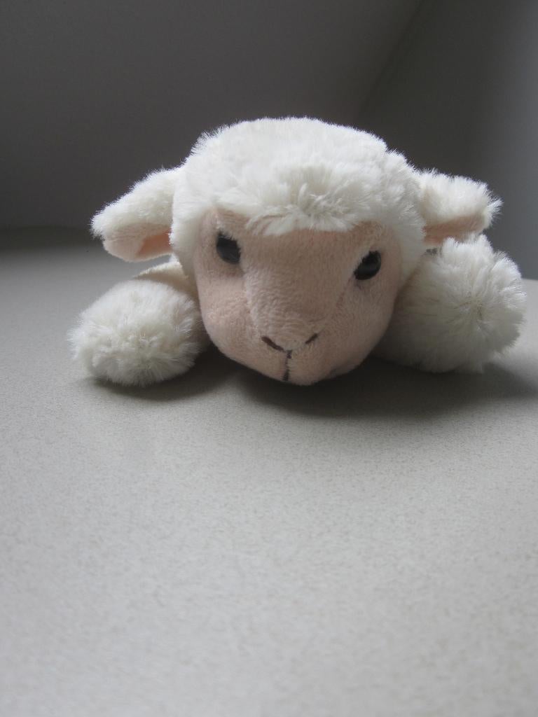 P.I.A. International Soft Toys roomwit pluche schaap lam 3x, Kinderen en Baby's, Speelgoed | Knuffels en Pluche, Nieuw, Overige typen