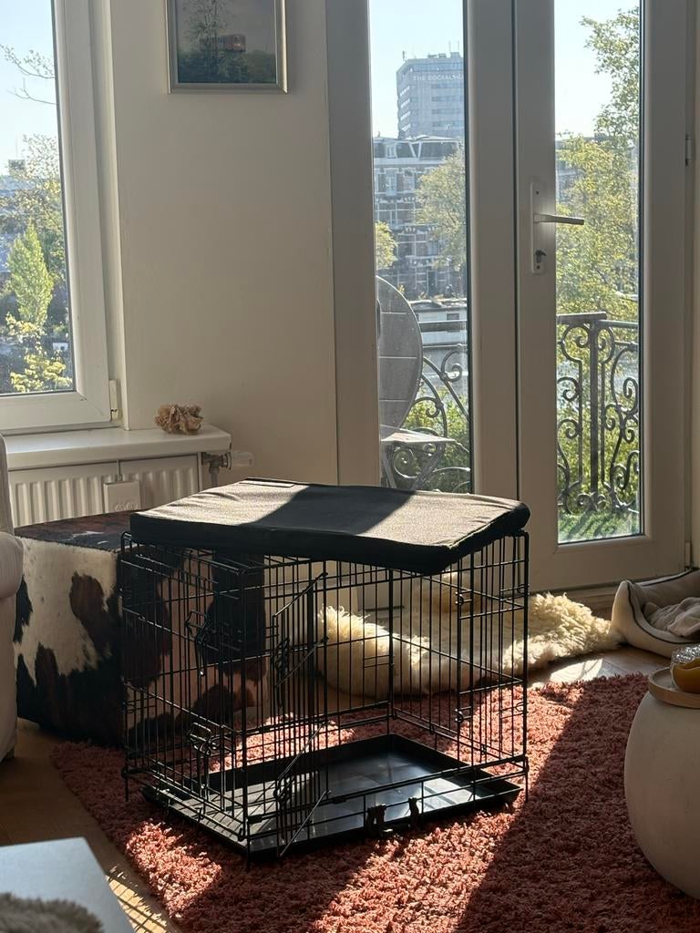 Honden bench, Dieren en Toebehoren, Hondenbenches, Zo goed als nieuw, Ophalen