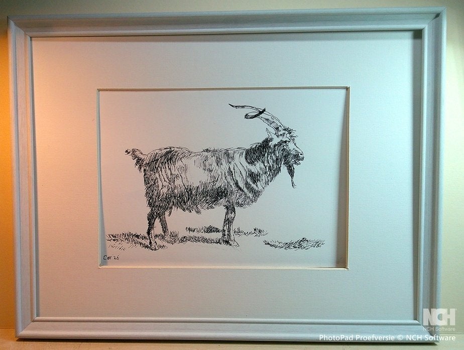 Geit, Antiek en Kunst, Ophalen of Verzenden