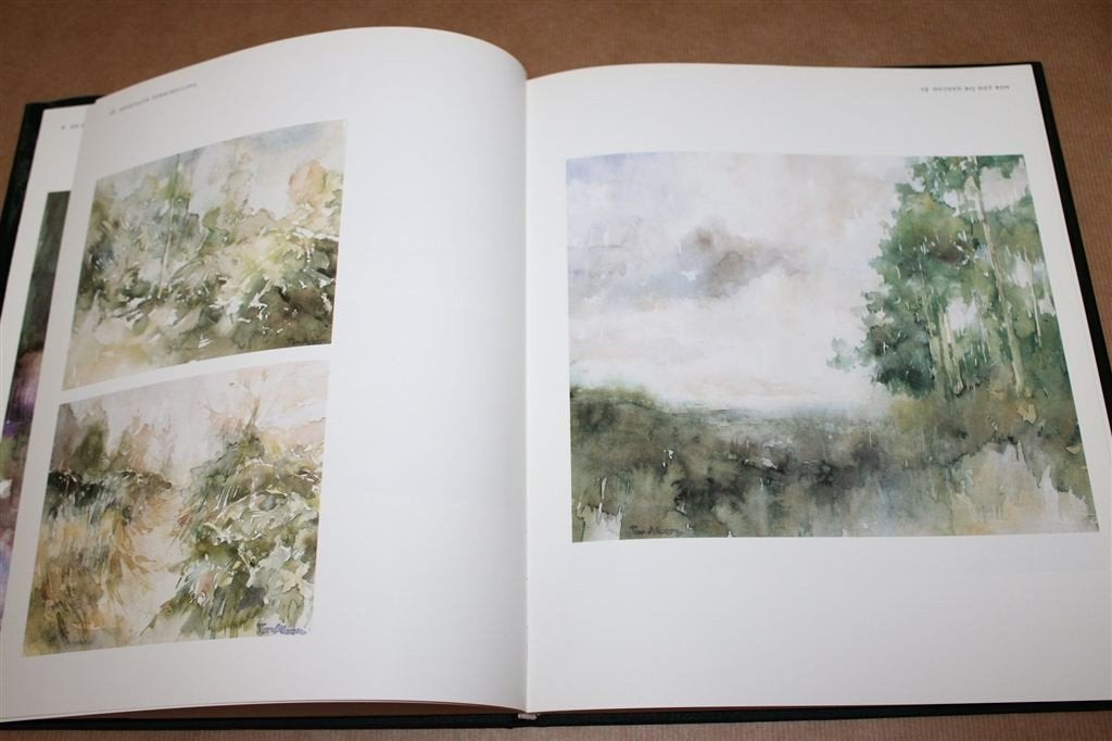 Ton Albers. Aquarellen., Ophalen of Verzenden, Gelezen