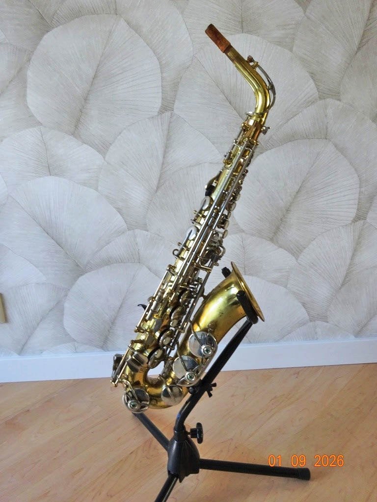Altsaxofoon, Muziek en Instrumenten, Ophalen, Gebruikt, Overige typen, Met koffer of draagtas