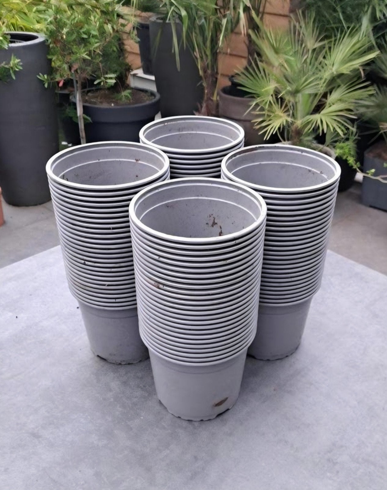 Partij Grijze Kweekpotten - Ø 16 cm, Hoogte 14 cm, Kunststof, Gebruikt, Minder dan 30 cm, Rond