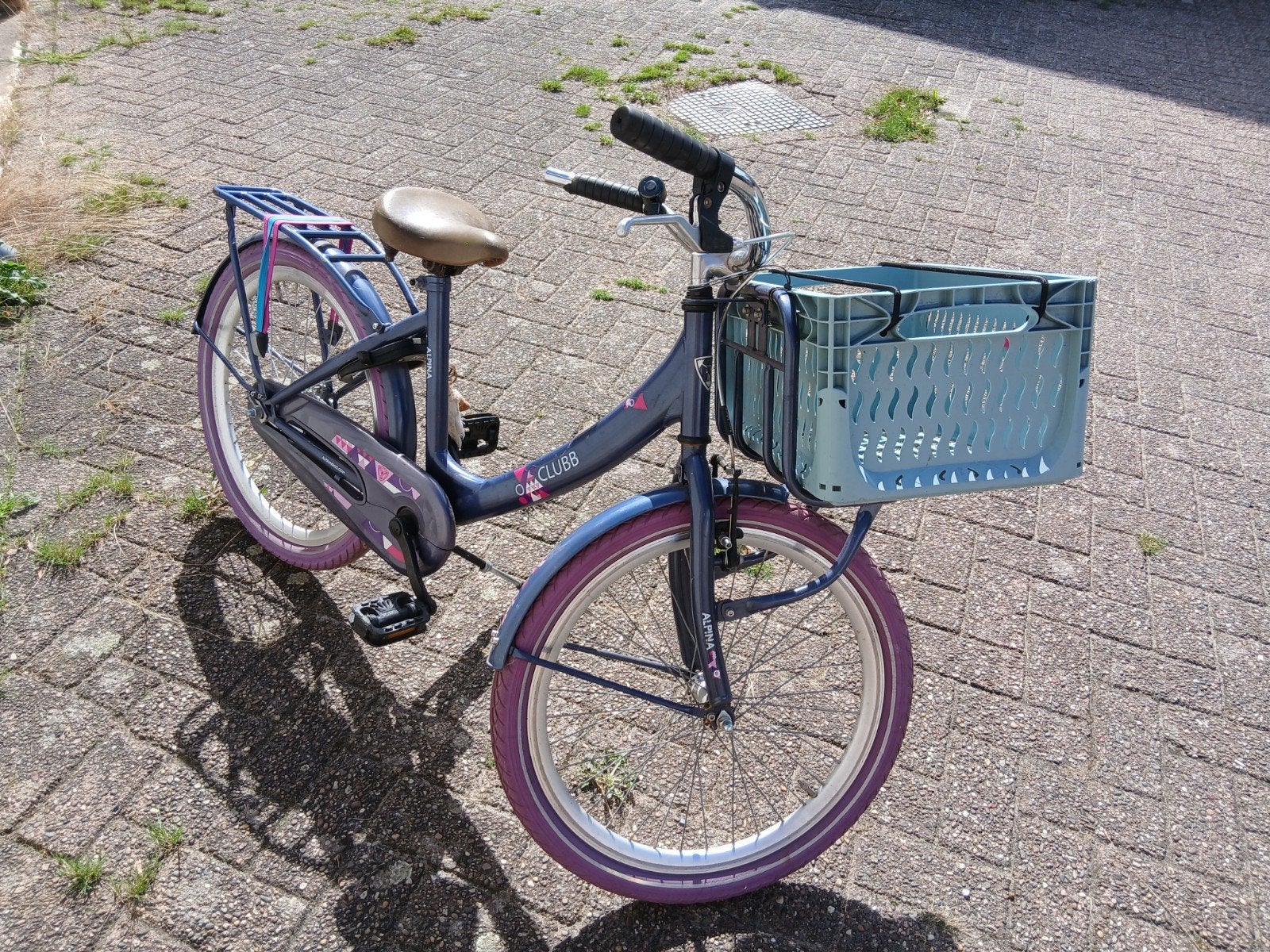 Kinderfiets 22 inch, Ophalen, Gebruikt, 20 inch of meer, Alpina Clubb