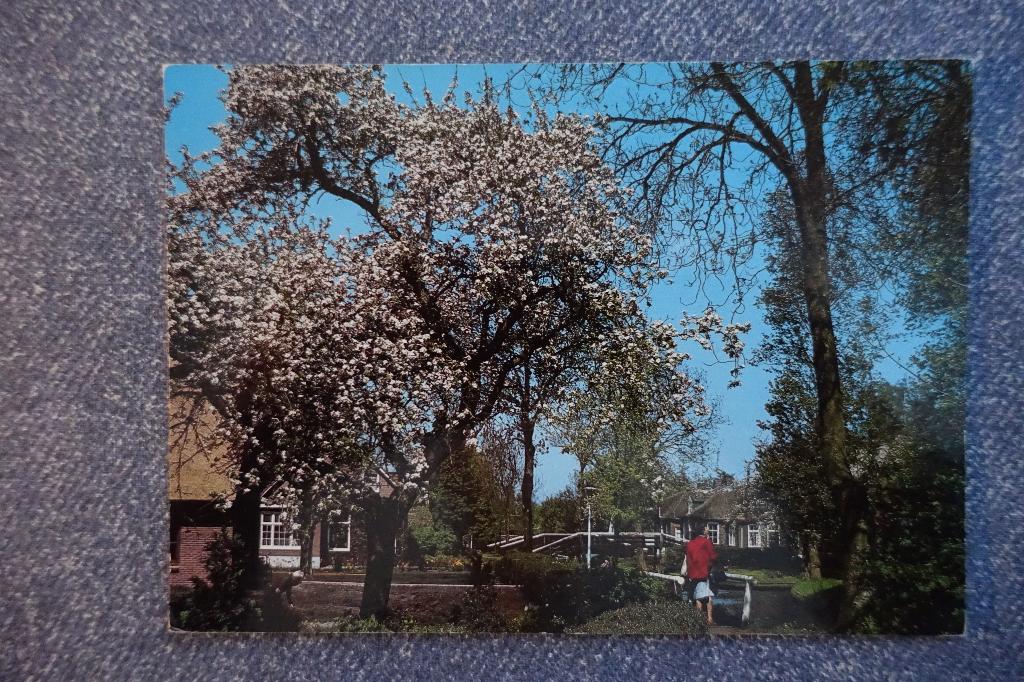 Giethoorn. Mooi Giethoorn, Ophalen of Verzenden, 1960 tot 1980, Ongelopen, Overijssel