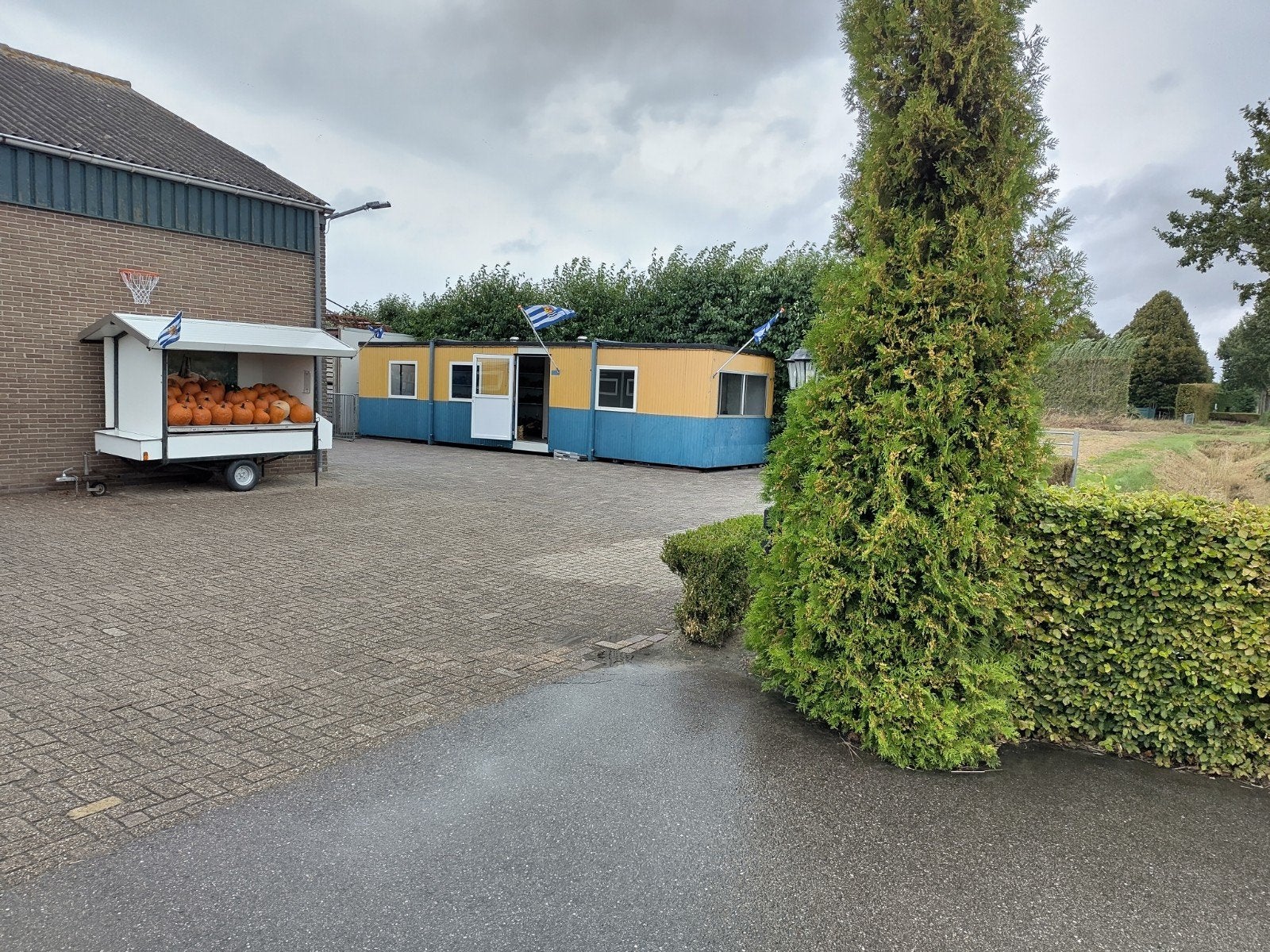 Sierkalebassen en eetbare pompoenen te koop, Ophalen of Verzenden