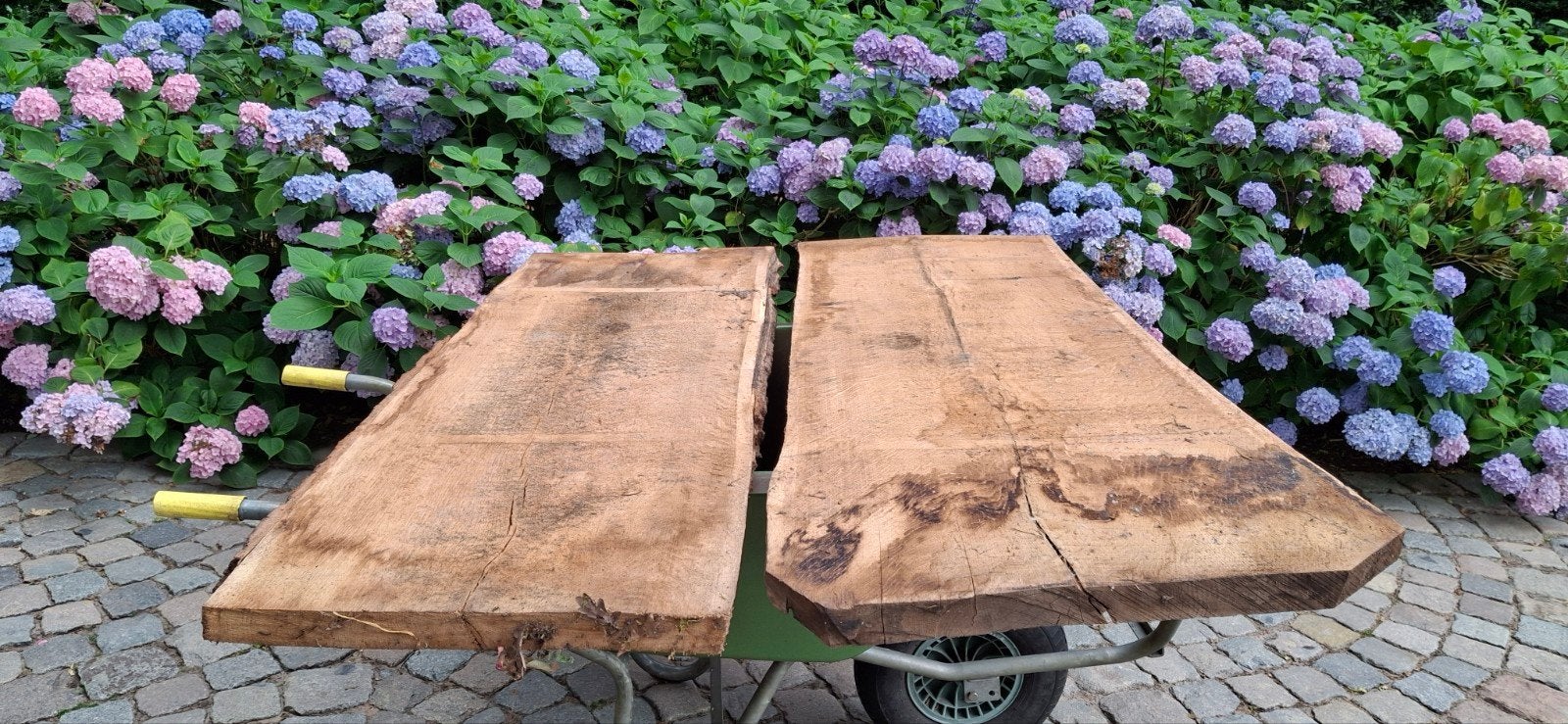 2 Eiken boomstam planken, 1.50m lang, Doe-het-zelf en Verbouw, Hout en Planken, Ophalen, 25 tot 50 mm, Eiken, Plank