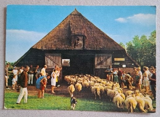 166 Drenthe Schaapskooi, Ophalen of Verzenden, 1960 tot 1980, Gelopen, Drenthe