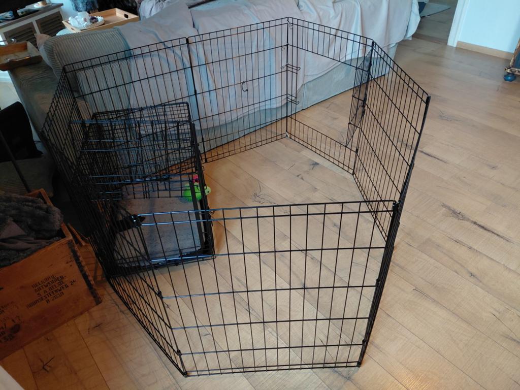 Puppy ren zwart 61x76 cm Adori, Dieren en Toebehoren, Ophalen