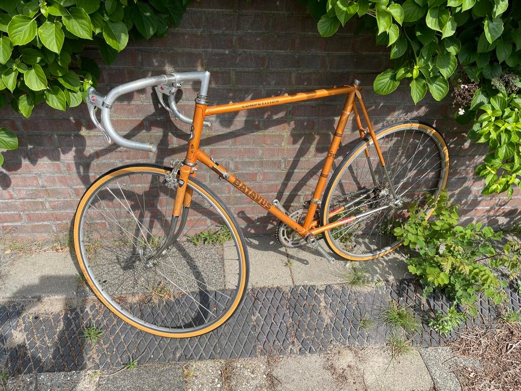 Batavus Competition project, 59 cm of meer, Ophalen