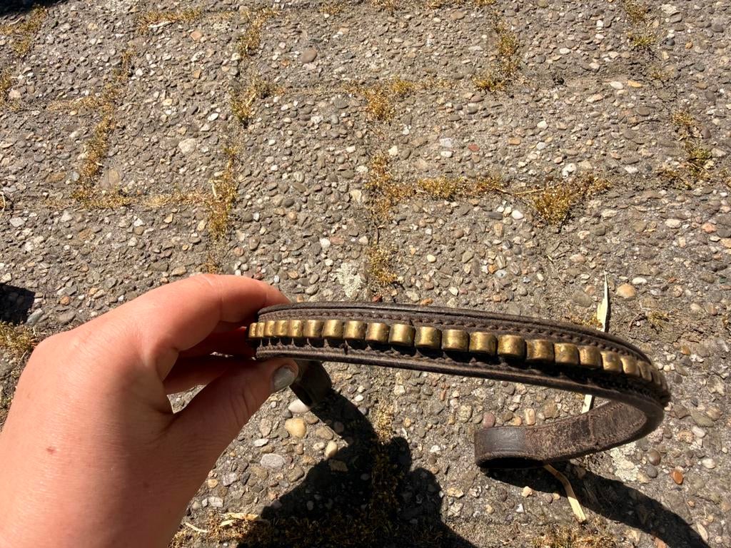 Frontriem full, Dieren en Toebehoren, Paarden en Pony's | Hoofdstellen en Tuigage, Ophalen of Verzenden, Zo goed als nieuw, Overige soorten