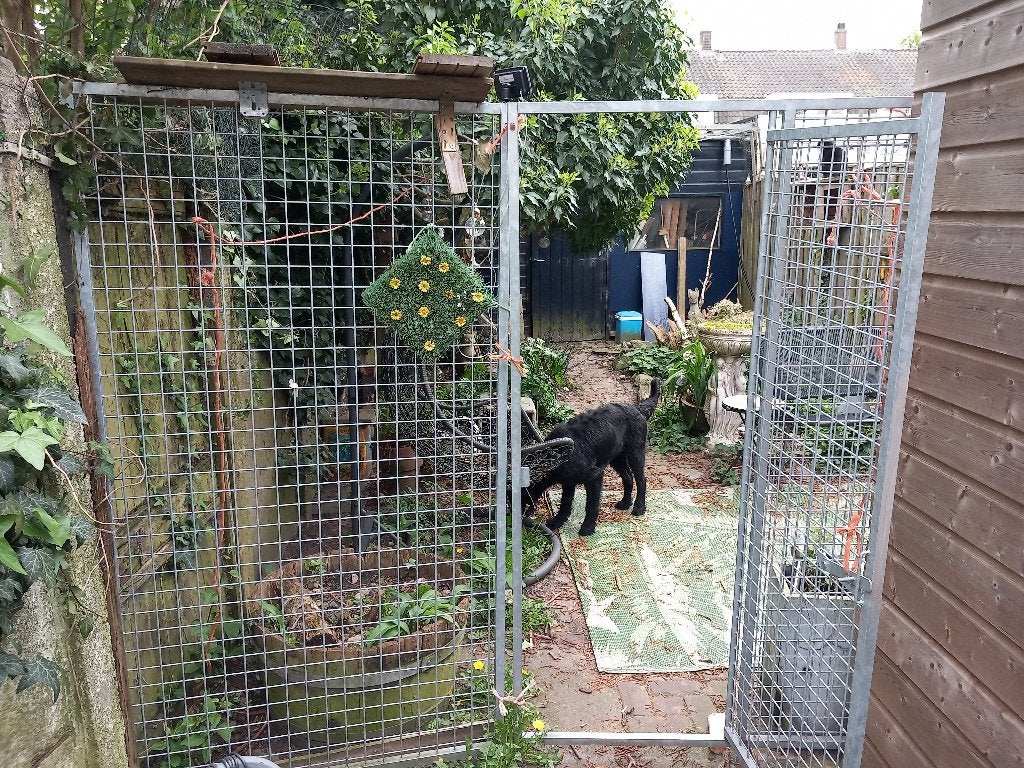 Gaaspanelen -afschermen tuin- gaaspaneel kattenren kippenren, Ophalen, Zo goed als nieuw