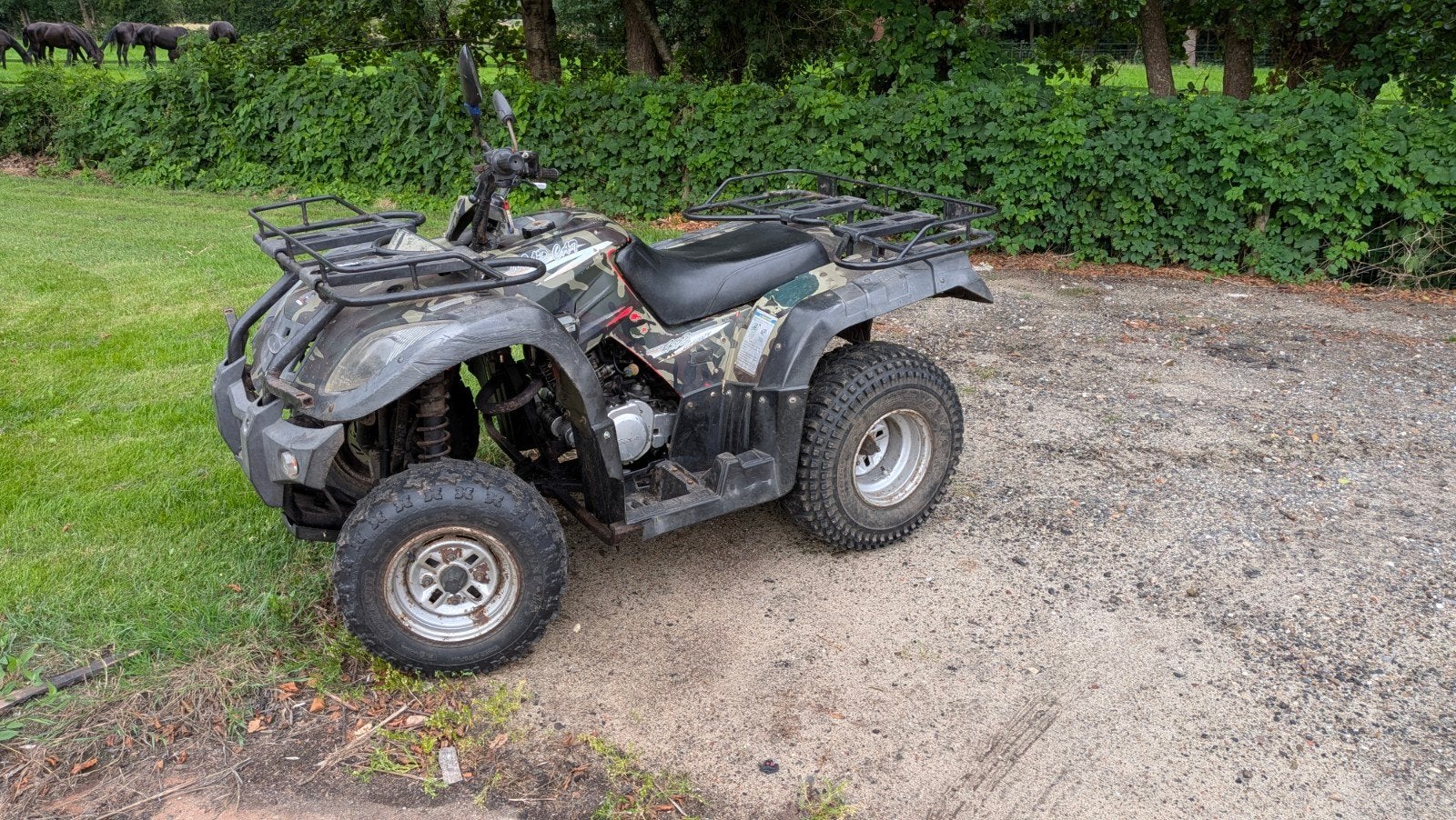 Quad 250cc jianshe wildcat, 250 cc, Gebruikt, Overige typen, Schijfrem