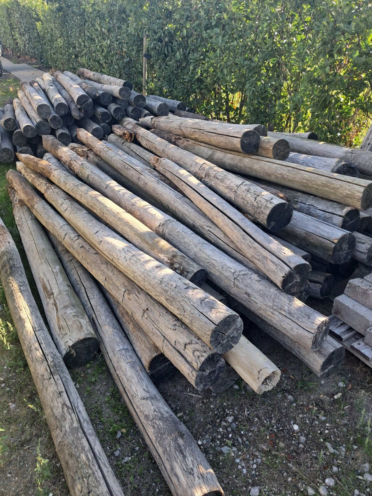 Gebruikte acacia palen, ca. 20cm diameter, 2 meter lang, Doe-het-zelf en Verbouw, Ophalen, Gebruikt, Overige typen, Overige houtsoorten