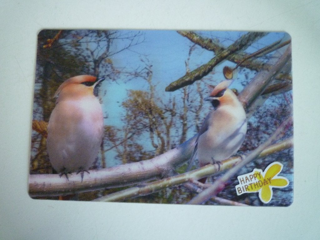 Pestvogels vogel s3D kaart, Ophalen of Verzenden, Voor 1920, Vogel