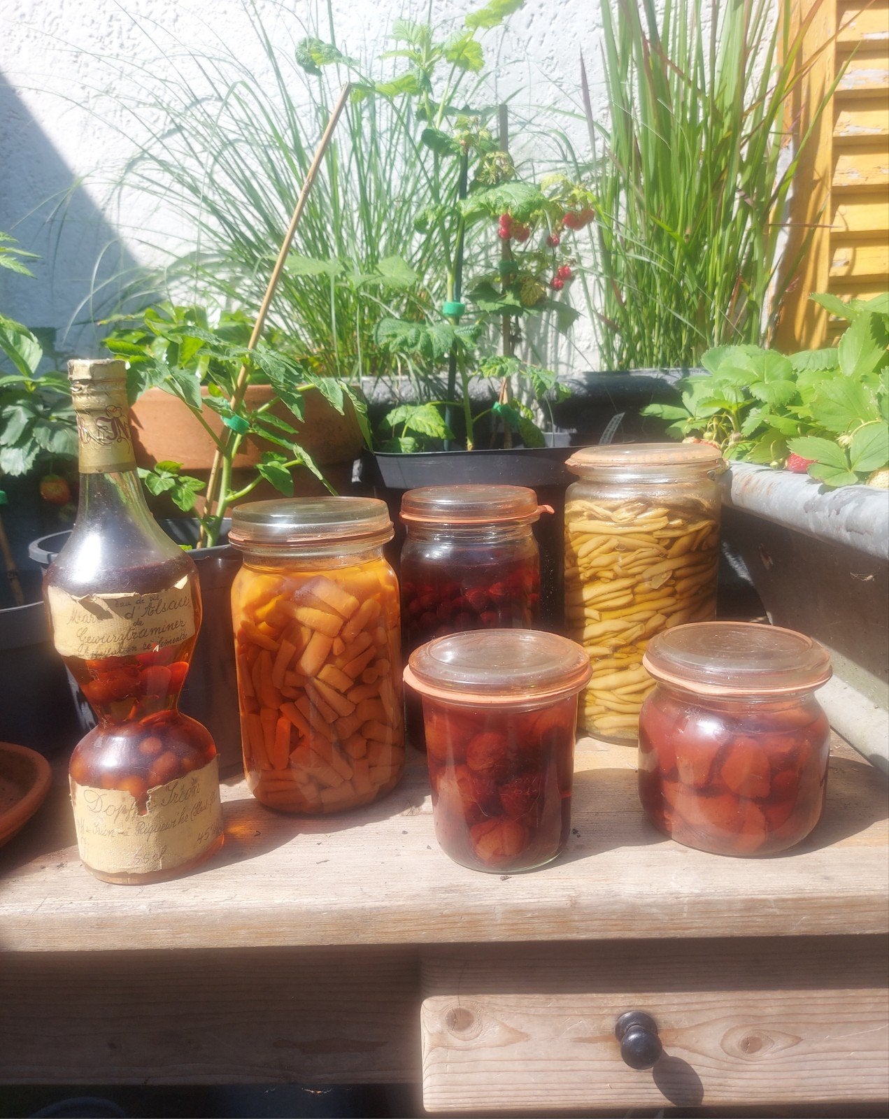 Uit museum 6 x oude ingewekte groente & fruit, Ophalen