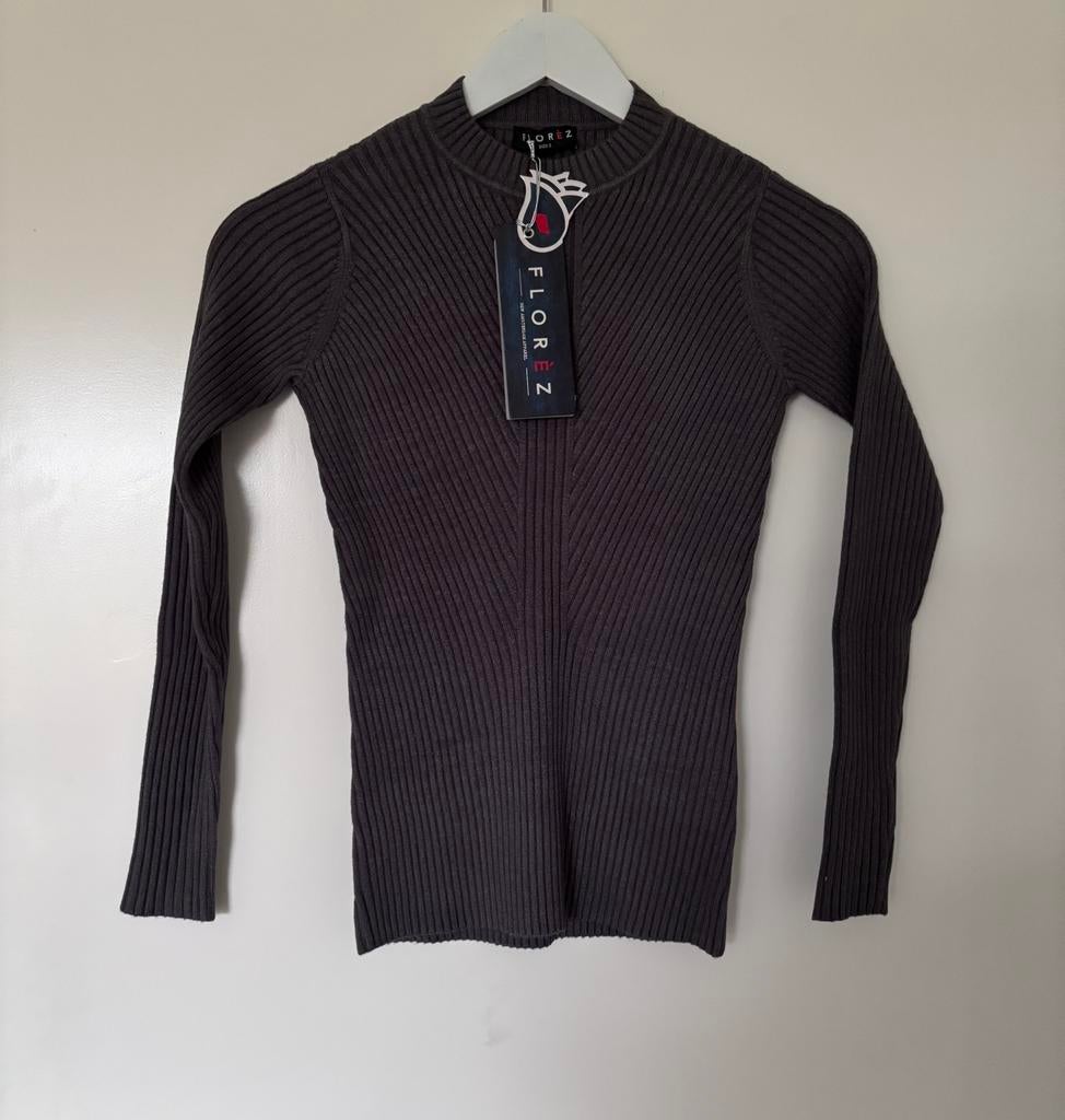 Nieuw! Florez Tara Top ribbeltrui grijs maat S, Kleding | Dames, Tops, Nieuw, Maat 36 (S), Grijs, Lange mouw, Ophalen of Verzenden