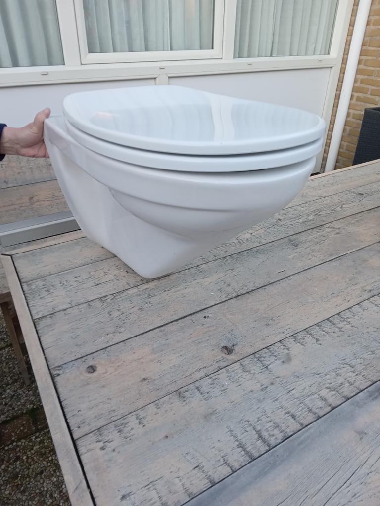 Wc pot, Doe-het-zelf en Verbouw, Ophalen, Toilet