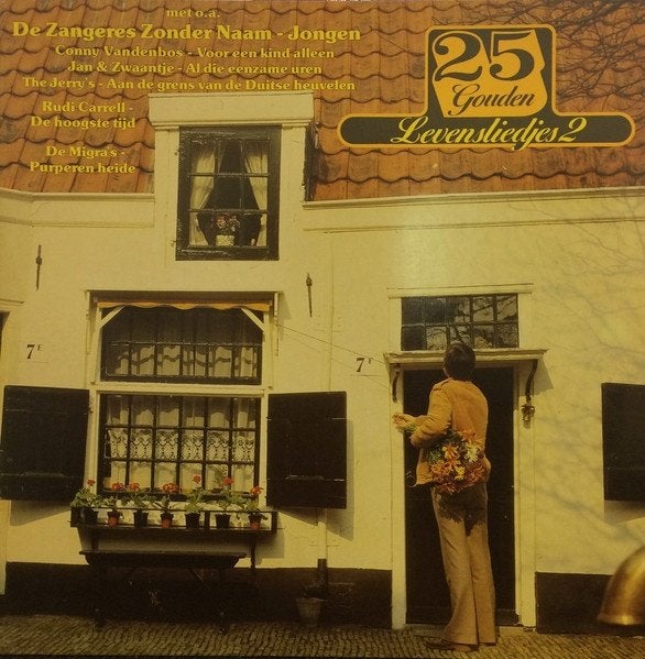 2LP - 25 Gouden Levensliedjes, Cd's en Dvd's, Beschermende buitenhoes, Ophalen of Verzenden, Zo goed als nieuw, Levenslied of Smartlap