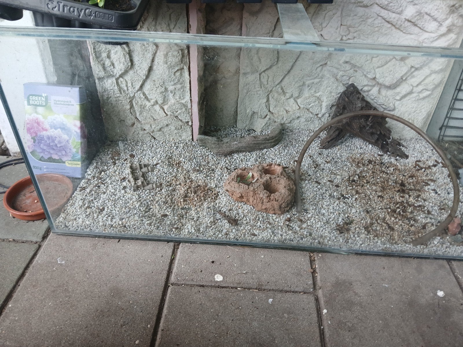 Gratis aquarium voor gerbils, hamsters of muisjes, Dieren en Toebehoren, Knaagdieren en Konijnen | Hokken en Kooien, 75 tot 110 cm