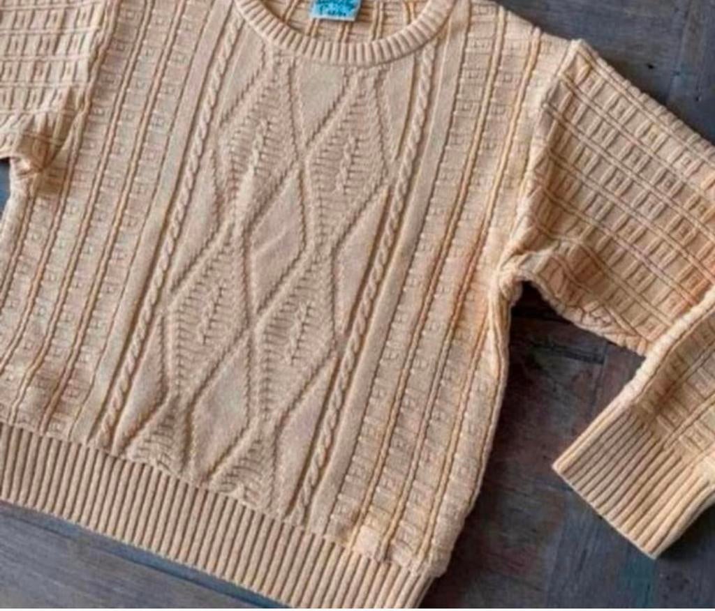 Truitje maat S Litrico, Kleding | Dames, Ophalen of Verzenden, Zo goed als nieuw