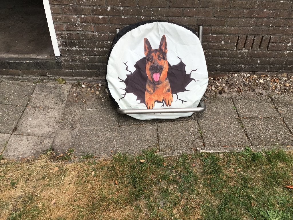 rvs reserve wiel drager, Ophalen of Verzenden, Zo goed als nieuw