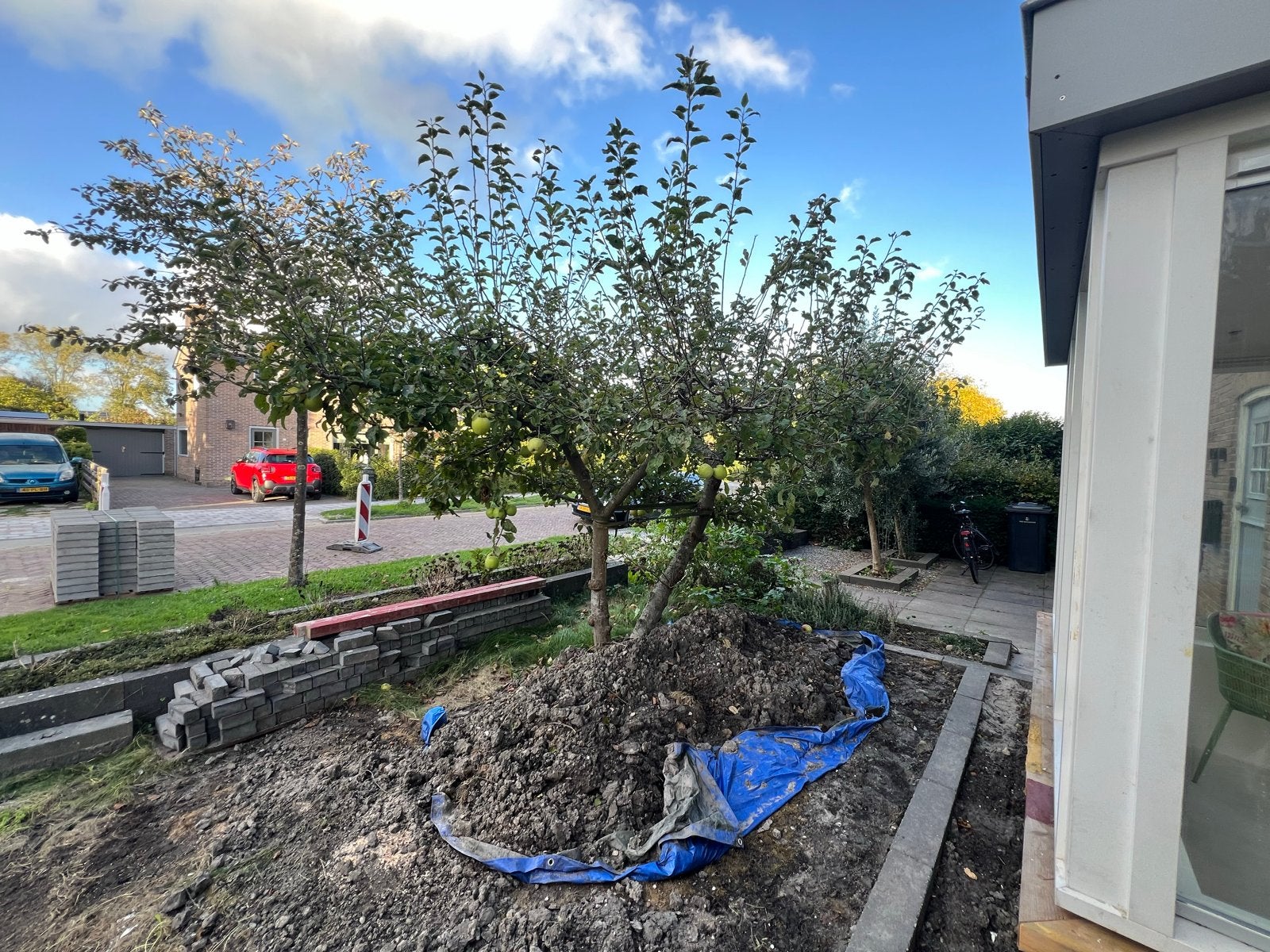 Appelboom - Zelf uit de grond halen, Tuin en Terras, Overige soorten, Lente, 250 tot 400 cm, Ophalen