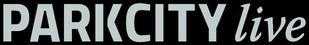 Ticket Parkcity Live, zaterdag 4 juli, Eén persoon